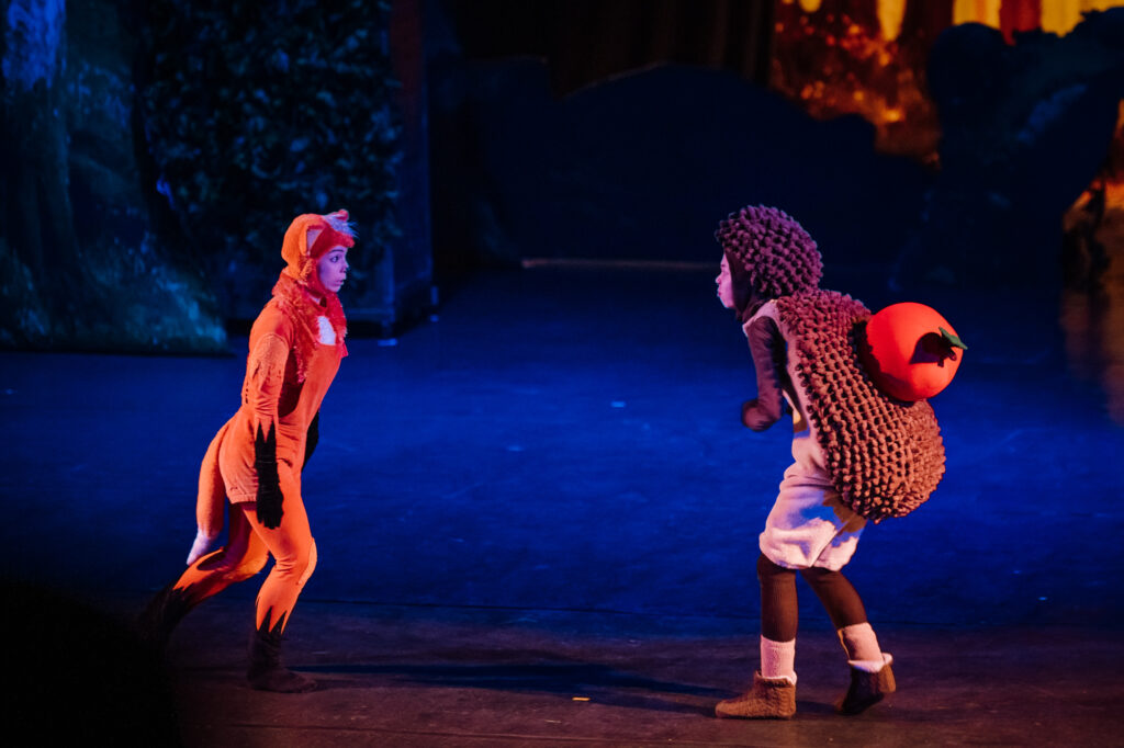 474571310 576531232026012 5162617047772811199 n