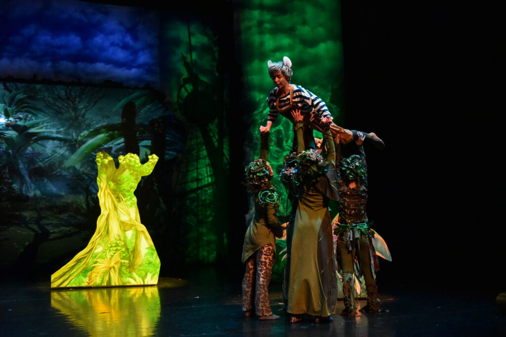 csk 8305 csendes krisztina