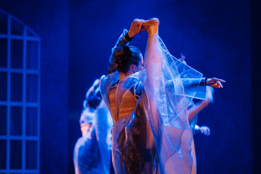 ANNA KARENINA den04137