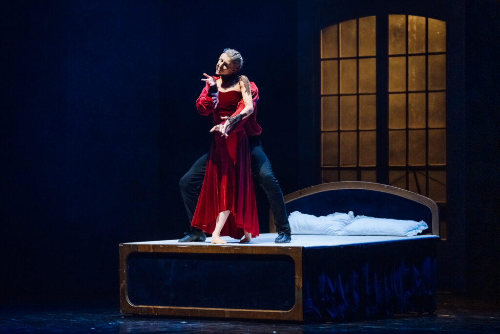 ANNA KARENINA den04191